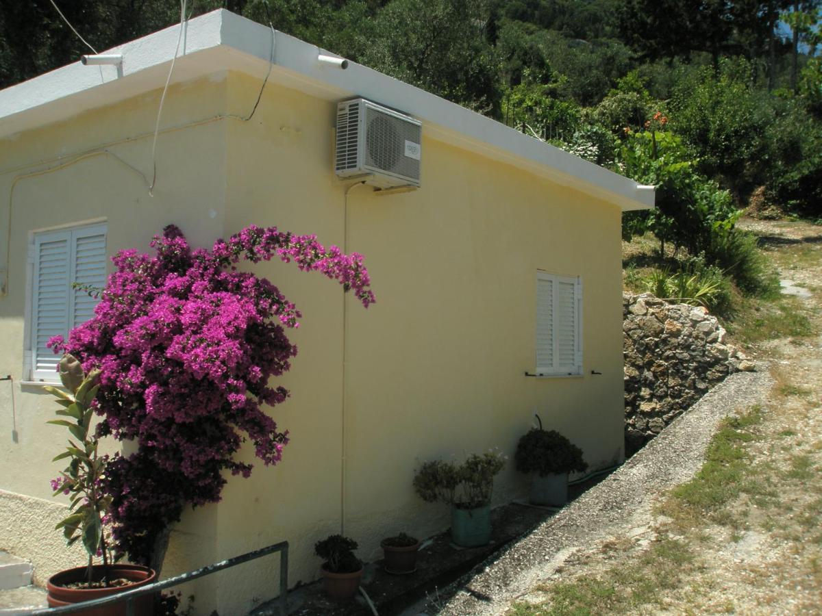 Faliraki Apartments Benitses  Eksteriør bilde